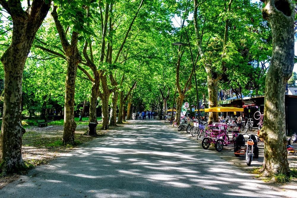 Hotel Garden Viareggio Ngoại thất bức ảnh